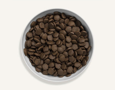 Canagan Scottish Salmon Dry Dog Food - 12kg